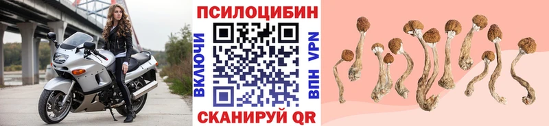 kraken рабочий сайт  Новая Ладога  Галлюциногенные грибы мицелий  где можно купить  